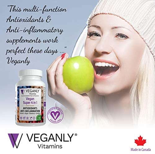 VEGANLY Vitamins Vegan Super 4 in 1 Antioxidants & Anti-Inflammation. All Natural All-in-One from Turmeric, Ginger, Blueberry, Cranberry (90 caps) Helps Relief Joint Pain and Improve Digestion